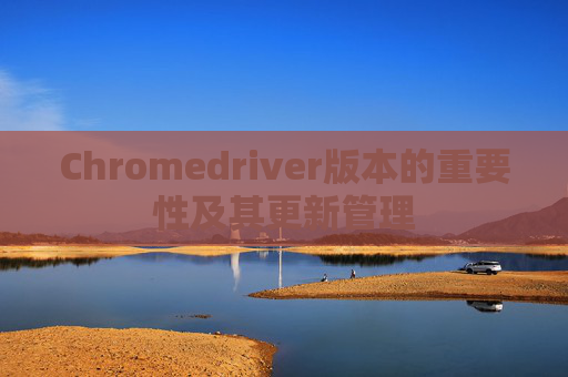 Chromedriver版本的重要性及其更新管理